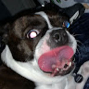 Meet your Posher, Tracy